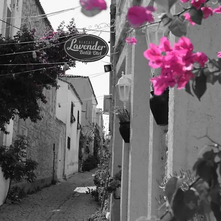 Lavender Alaçatı