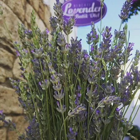 Pensjonat Lavender Alaçatı