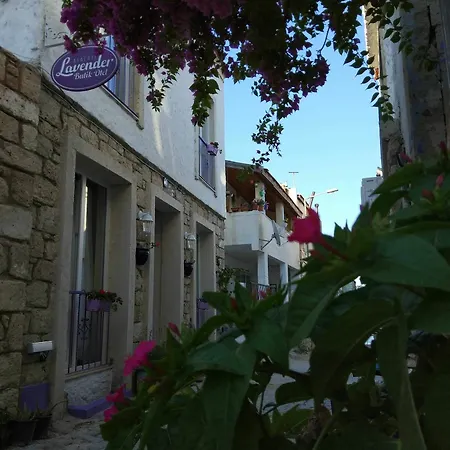 Lavender * Alaçatı